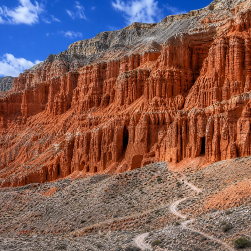 Mustang Trek